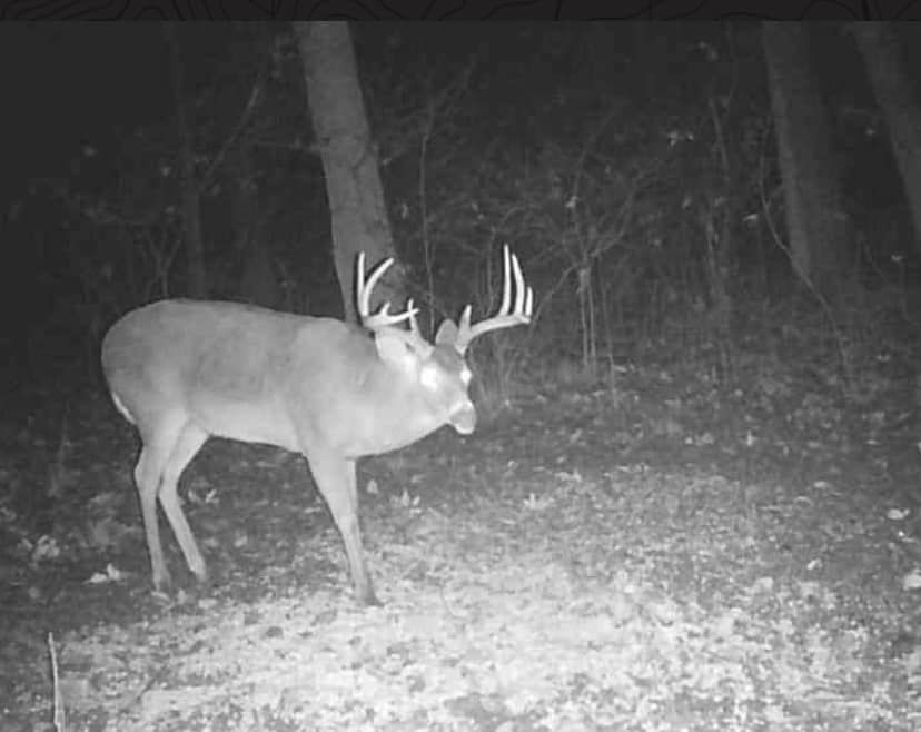 Muzzleloader Whitetail Deer Hunts
