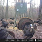 Spring Turkey Hunts